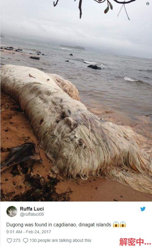 菲律宾海滩发现不明生物，是外星生物？