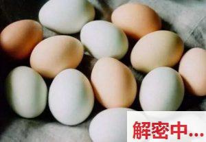 盘点10个有趣的冷知识，鲸鱼血管粗到能让孺游