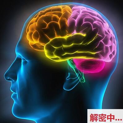 美成功模拟人脑信息传递半导体技术