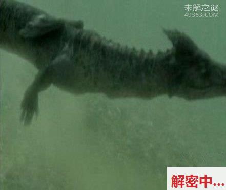 奥古布古：一种来自远古的生物“水中的恶魔”