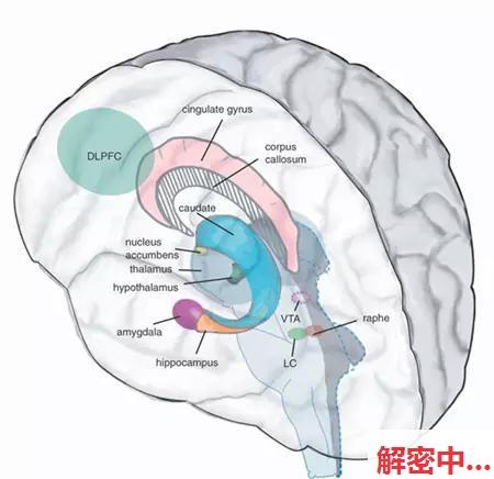 终于找到玩打法的理由了--能使大脑变发展？