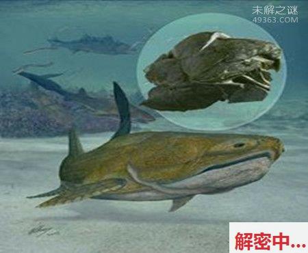 奥古布古：一种来自泰初的生物“水中的煞神”