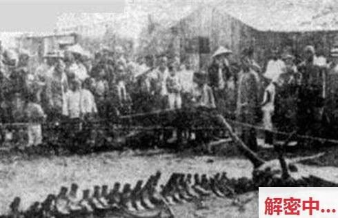 历史上是否果真有龙？揭秘1934年营口坠龙事件真相