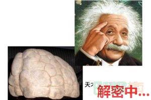 爱因斯坦智商有多高?到底有多聪明?