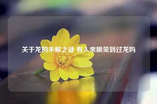 有人亲眼见到过龙吗 关于龙的未解之谜