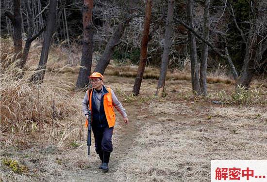 福岛核撤退区:野猪“侵犯”人类地域