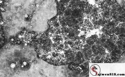 我们要寻找的是130多亿年前宇宙大爆炸后形成的首批恒星和星系，它们发出的信号已在浩瀚宇宙中传