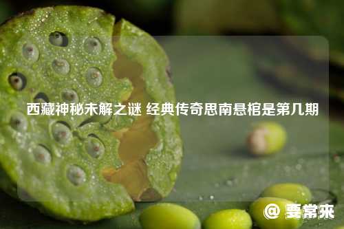 经典传奇思南悬棺是第几期 西藏神秘未解之谜