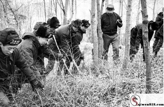 解密韩国三大悬案 为不拘凶案受害人总是女人和儿童！