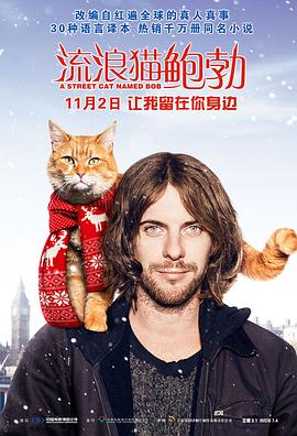 流浪猫鲍勃AStreetCatNamedBob(2016)免费在线观看高清未删减完整版