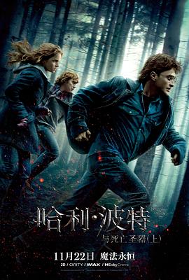 哈利·波特与死亡圣器(上)HarryPotterandtheDeathlyHallows:Part1(2010)免费在线观看高清未删减完整版