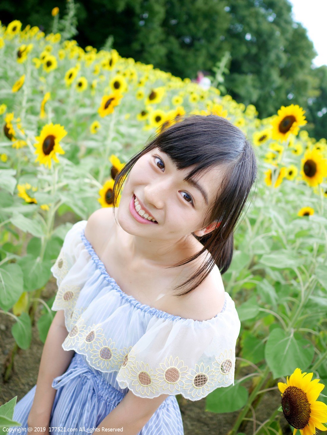 鈴木茜音(铃木茜音 , Akane Suzuki Yin)人物简历详细播报完整版