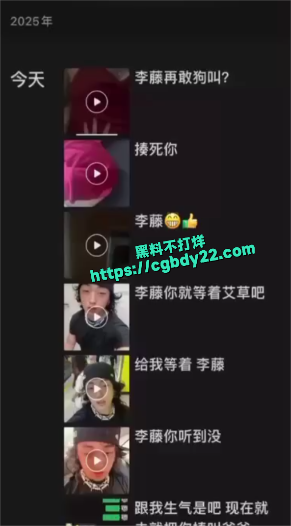 李藤操死你4