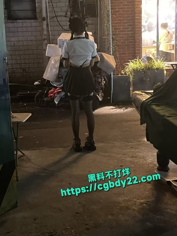 站街小姐当街逃跑被老鸨‌追上拽着头发抓回来 5